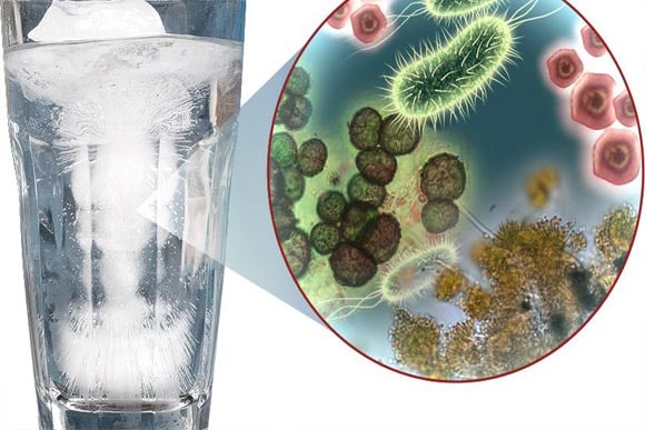 bacteria-in-water