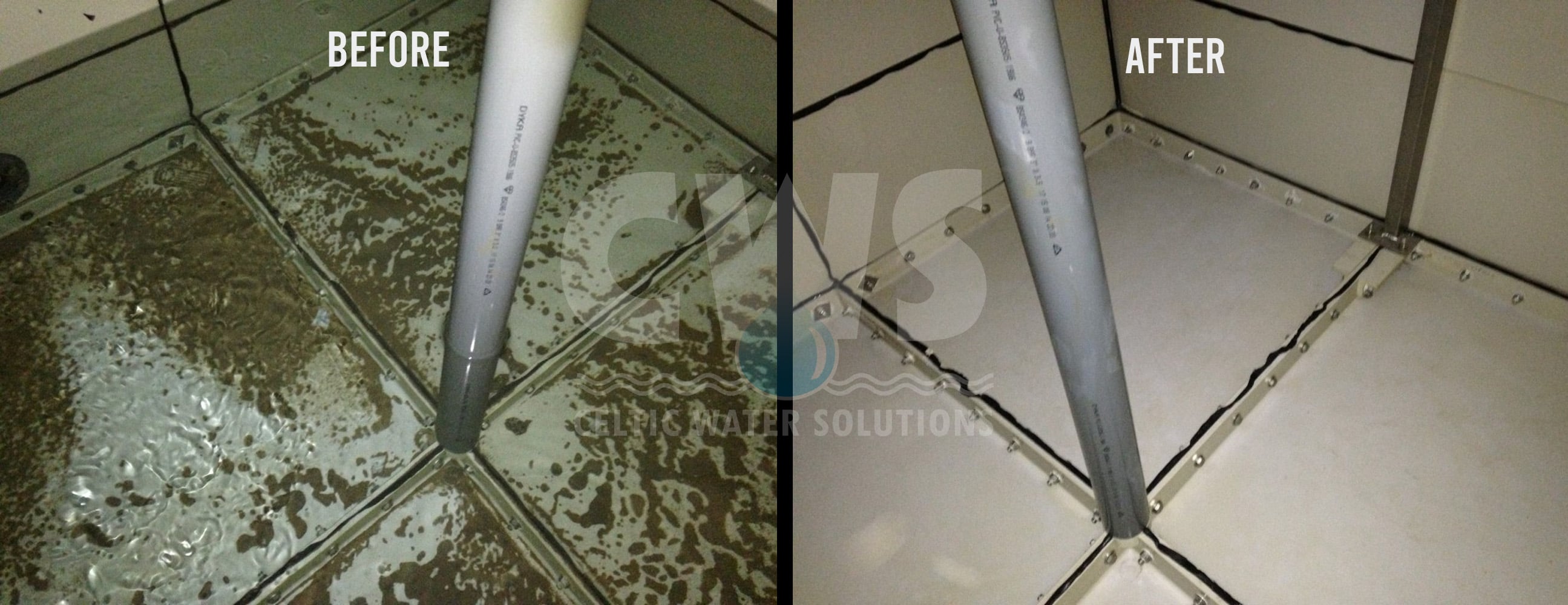 tank cleaning before after