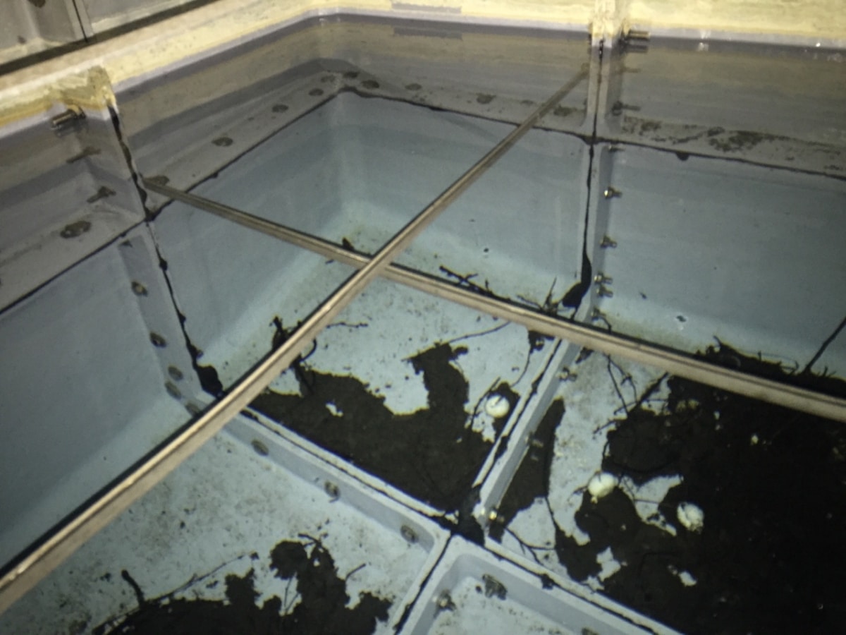 cold storage tank cleaning